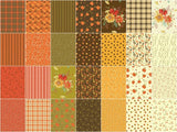 Adel in Autumn 5" Stackers
